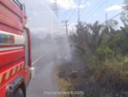 BPBD Aceh Besar Larang Bakar Sampah dan Lahan di Tengah Suhu Mencapai 34 Derajat