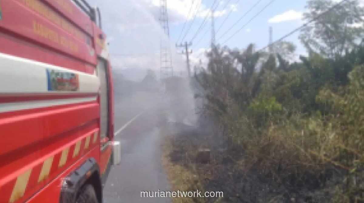 BPBD Aceh Besar Larang Bakar Sampah dan Lahan di Tengah Suhu Mencapai 34 Derajat