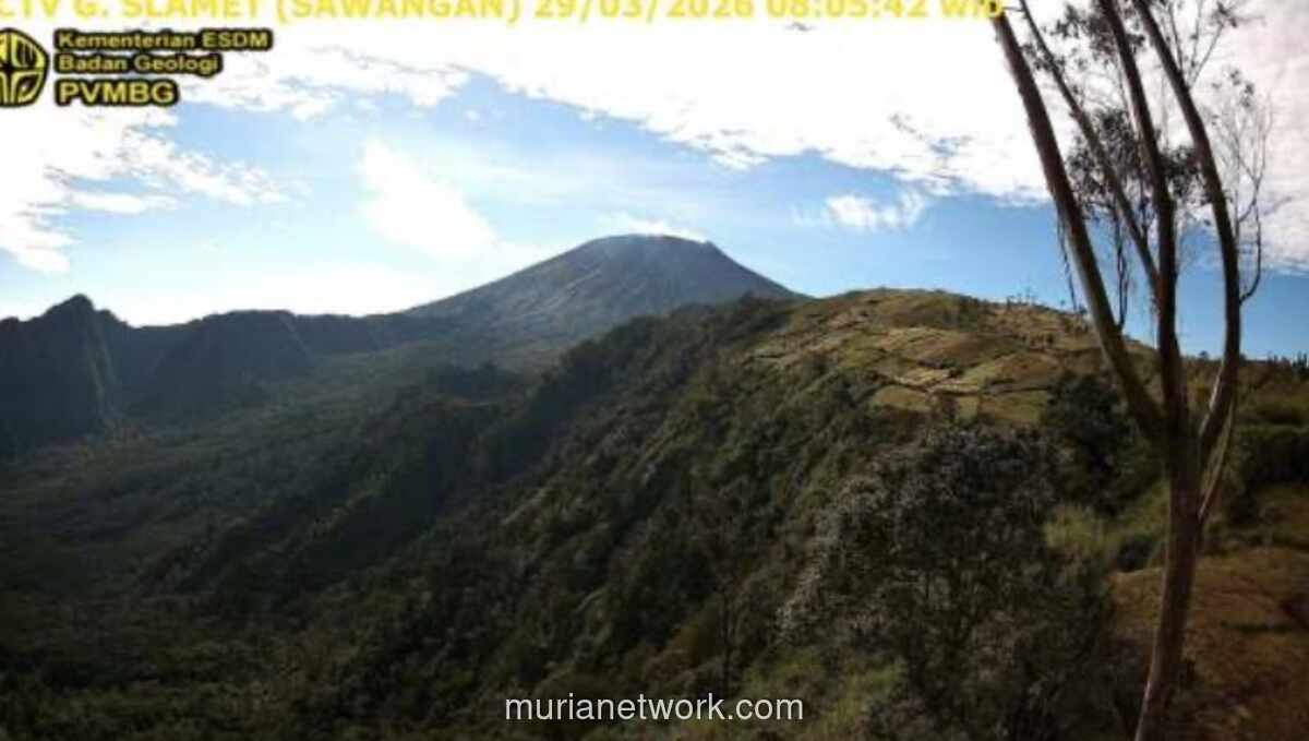 Badan Geologi Larang Pendakian di Radius 2 Km Puncak Gunung Slamet