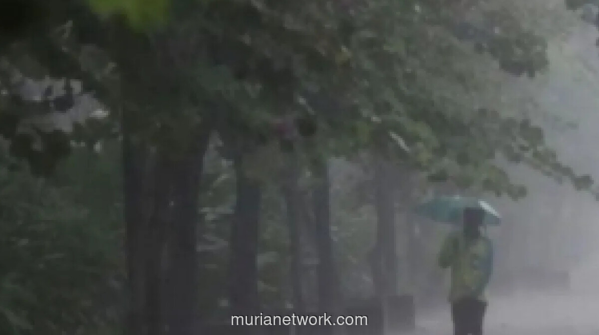 BMKG Wamena Imbau Warga Papua Pegunungan Waspada Cuaca Ekstrem hingga 2026