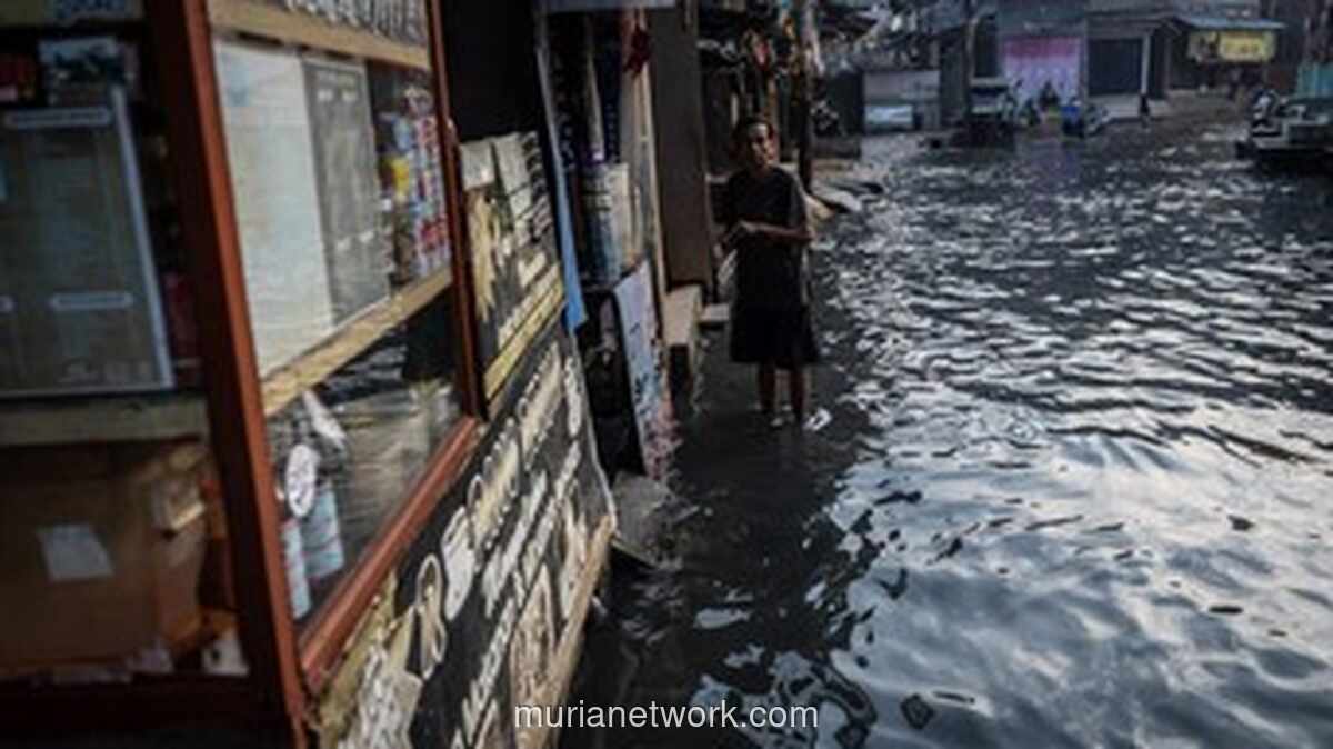 BMKG Peringatkan Potensi Banjir Rob di Sejumlah Pesisir Indonesia pada Maret 2026