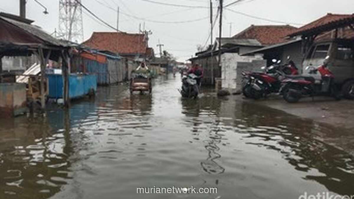 BMKG Ingatkan Warga Pesisir Waspada Potensi Rob 28-29 Maret 2026