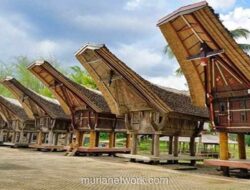 Desa Adat Pallawa: Menyaksikan Transformasi dari Tradisi Kelam ke Warisan Budaya Toraja