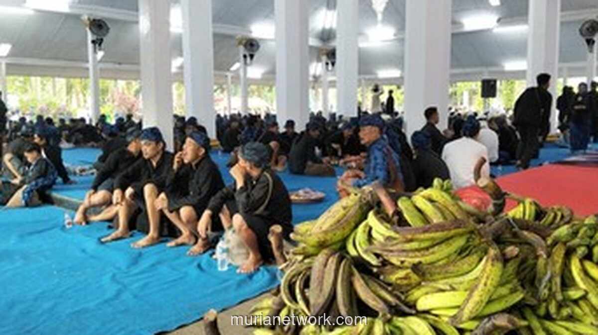 1.515 Warga Baduy Ikuti Tradisi Seba, Berjalan Kaki 40 Km Temui Bupati hingga Gubernur