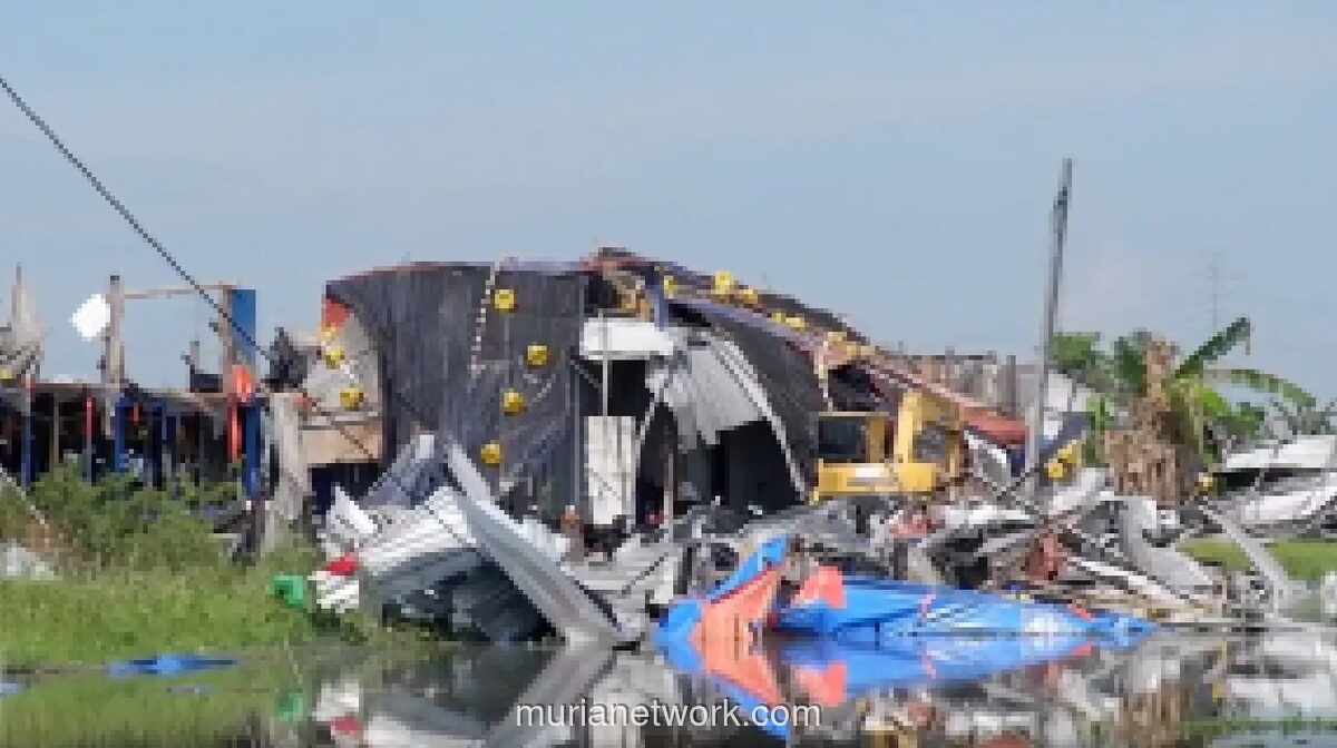 Angin Kencang Porak-Porandakan Peternakan Ayam di Pati, Kerugian Capai Miliaran