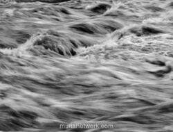 Banjir Rendam 42 Rumah dan Rusak Tiga Jembatan di Desa Ciomas, Bogor