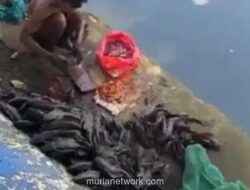 Satpol PP Gagalkan Pengolahan Daging Ikan Sapu-sapu untuk Siomai di Pasar Baru