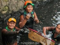 Operasi Besar-besaran di DKI Musnahkan 69 Ribu Ekor Ikan Sapu-sapu