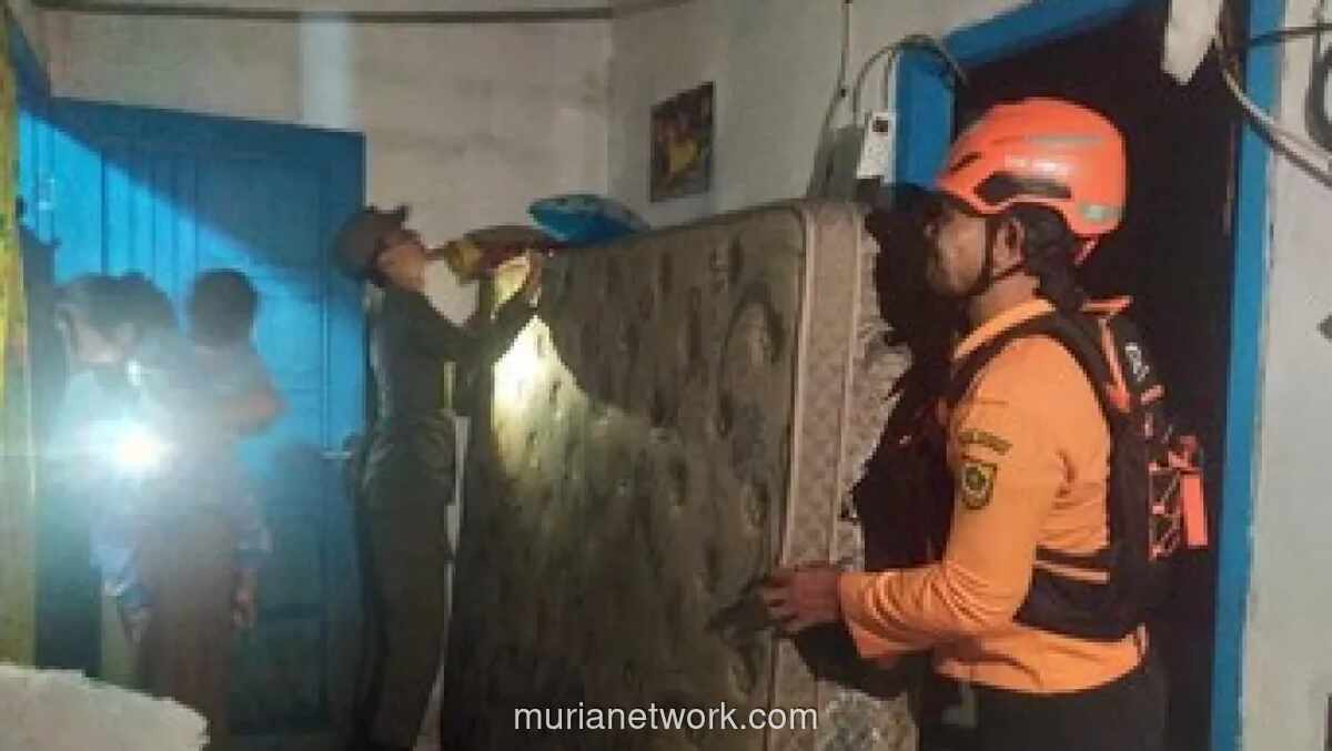 Angin Kencang dan Hujan Deras Rusak Delapan Rumah di Bogor, 33 Jiwa Terdampak