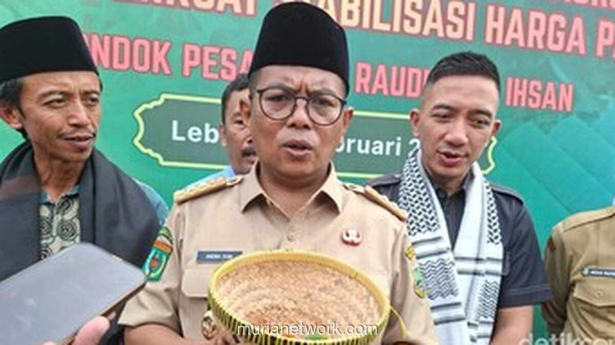Banten Genjot Produksi Jagung untuk Penuhi Kebutuhan 14 Pabrik Pakan Ternak