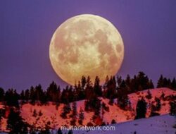 Puncak Flower Moon 2026 Terjadi 2 Mei Dini Hari, Waktu Terbaik Justru Malam 1 Mei