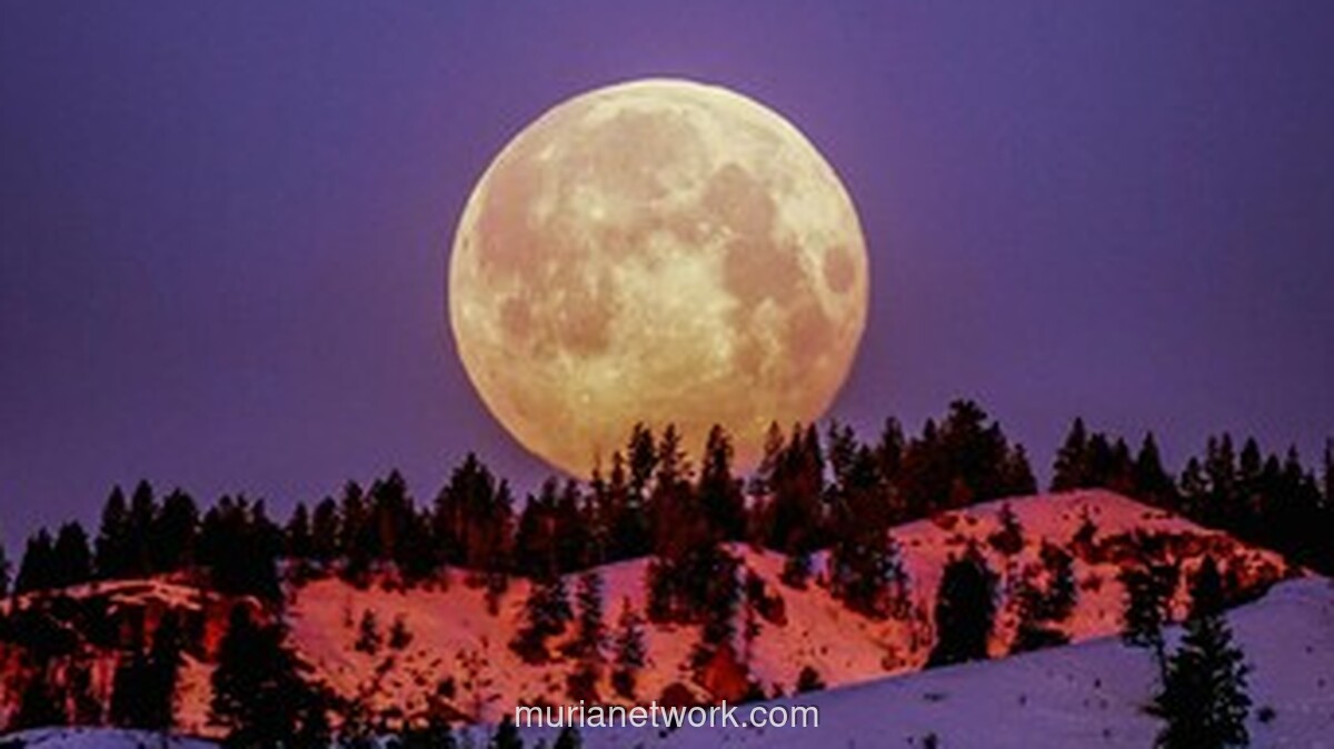 Puncak Flower Moon 2026 Terjadi 2 Mei Dini Hari, Waktu Terbaik Justru Malam 1 Mei