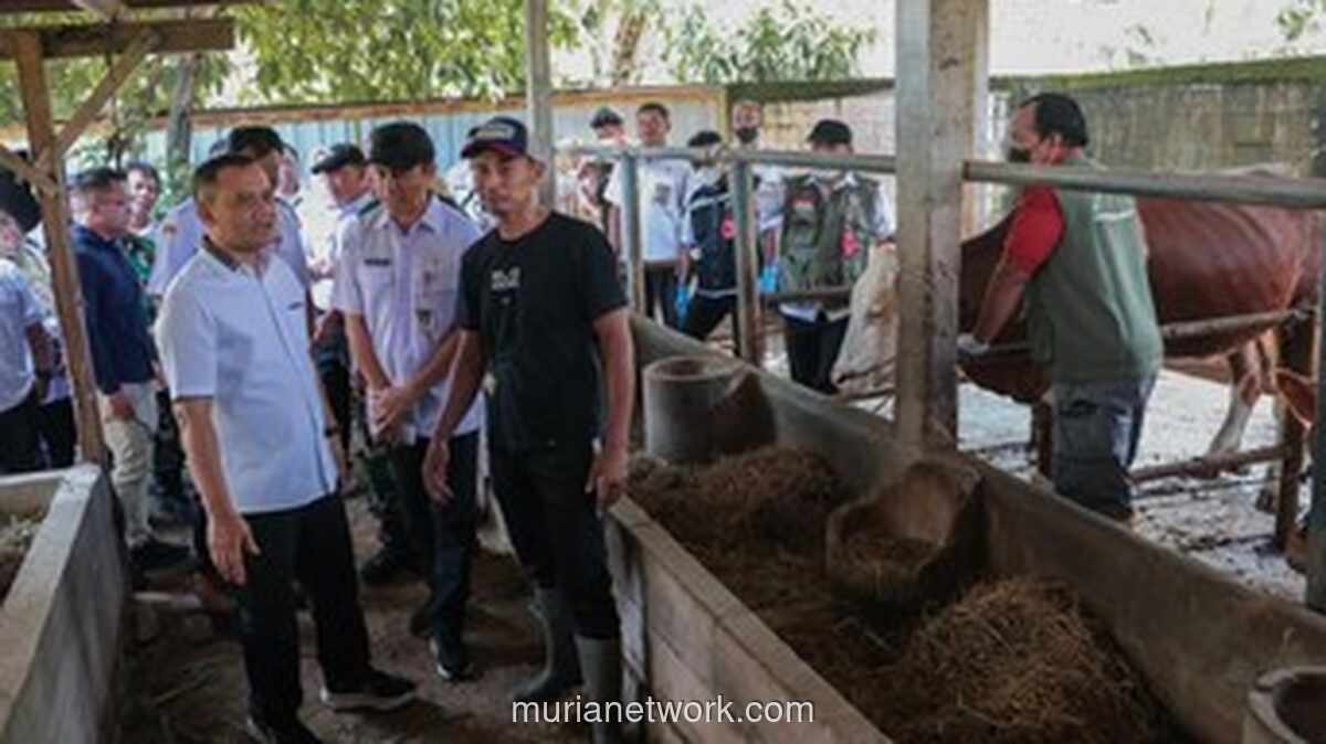 Jateng Perketat Pemeriksaan Kesehatan Ternak Jelang Iduladha dengan Program Healing