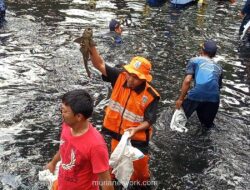 MUI Kritik Penguburan Hidup-Hidup Ikan Sapu-sapu oleh Pemprov DKI