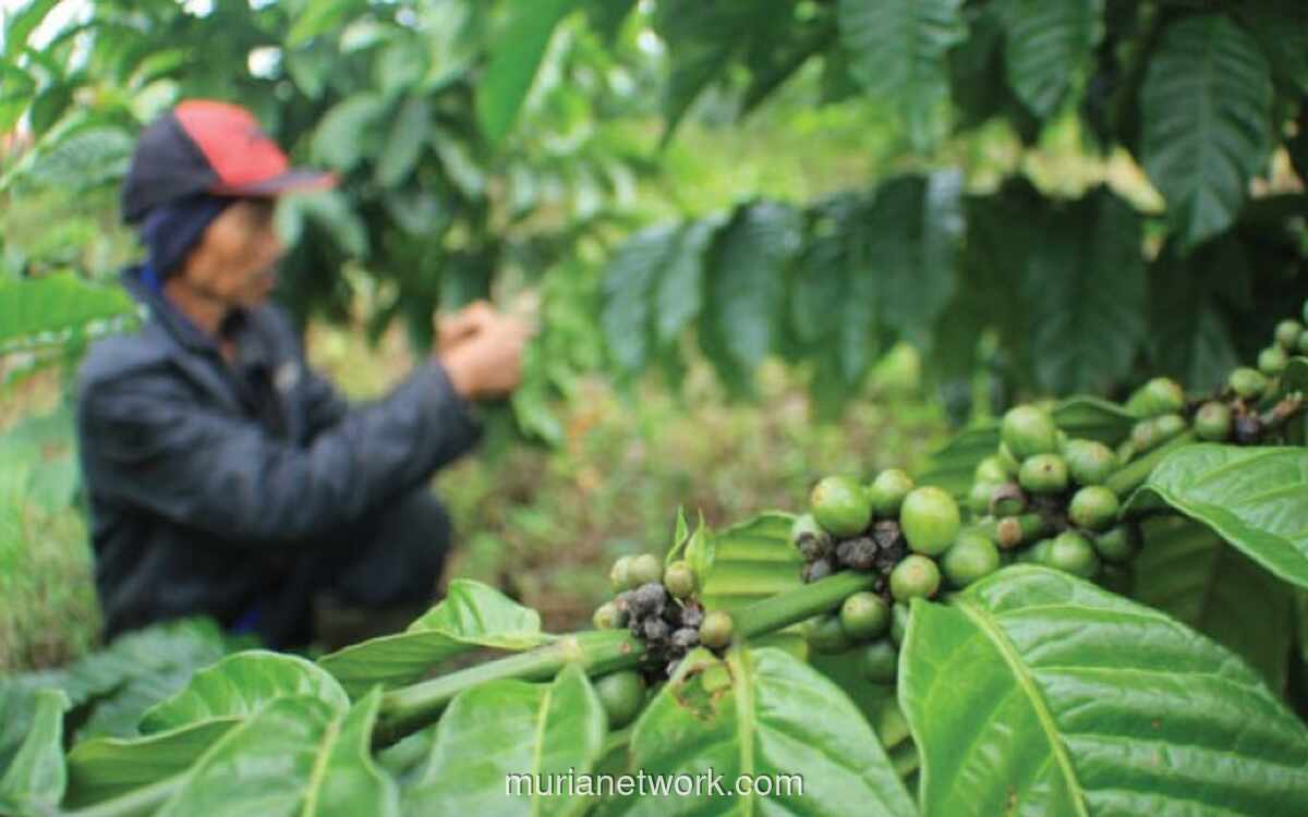 Kemenperin Dorong IKM Kopi Naik Kelas Lewat Sertifikasi Kompetensi Penyangraian