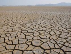 BMKG Beberkan Beda Kemarau dan El Nino, Waspadai Dampak Kemarau 2026 yang Lebih Kering dan Panjang