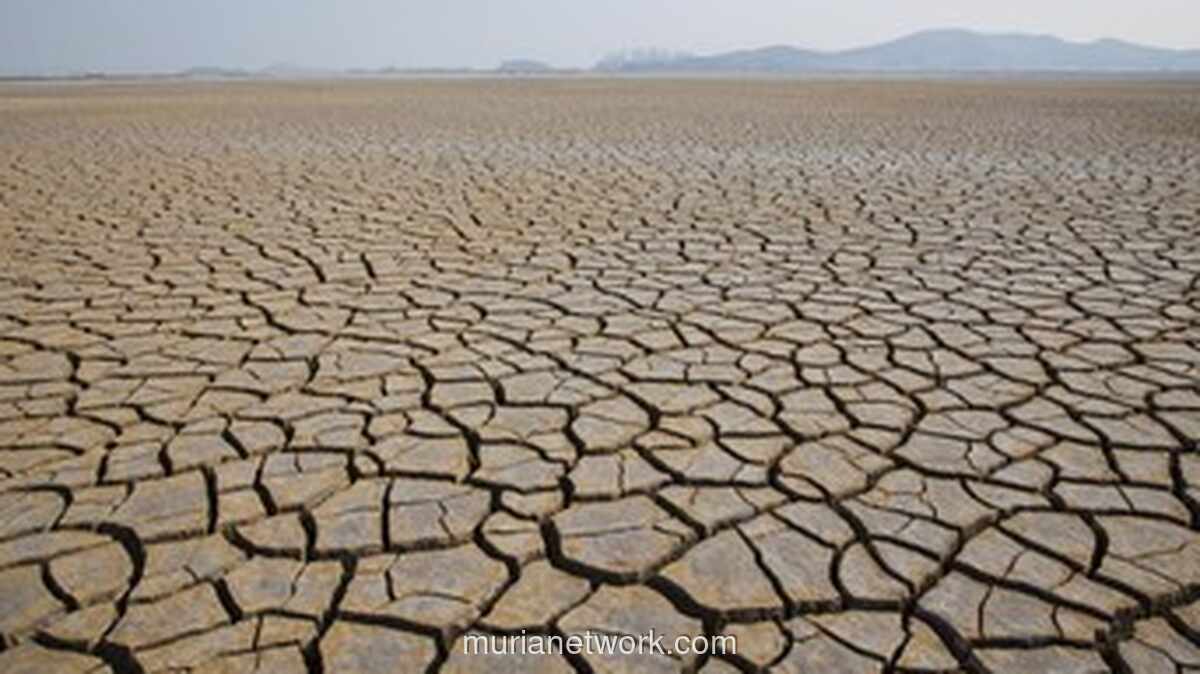 BMKG Beberkan Beda Kemarau dan El Nino, Waspadai Dampak Kemarau 2026 yang Lebih Kering dan Panjang