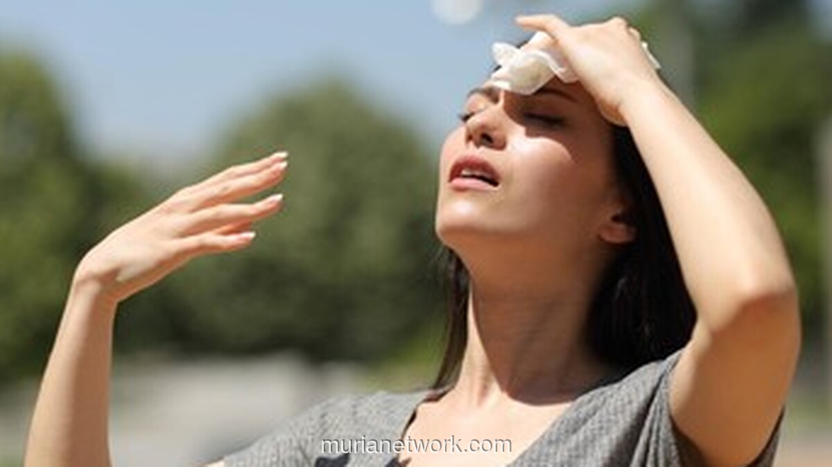 BMKG Prediksi Kemarau 2026 Lebih Kering dan Panjang, Diperparah El Nino