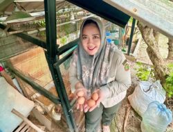 ASN Kementan Ubah Pekarangan Sempit Jadi Model Ketahanan Pangan Keluarga