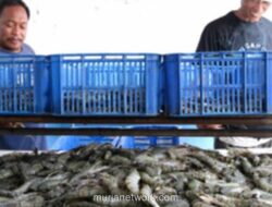 Pemerintah Targetkan 1.000 Kampung Nelayan Merah Putih untuk Putus Ketergantungan pada Tengkulak