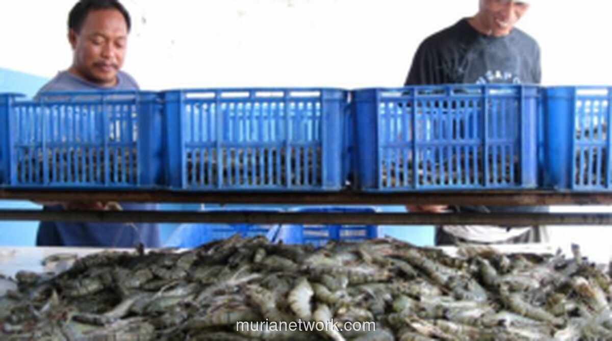 Pemerintah Targetkan 1.000 Kampung Nelayan Merah Putih untuk Putus Ketergantungan pada Tengkulak