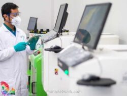 Avian Brands Bagikan Dividen Final Rp709 Miliar, Total 2026 Capai Rp1,36 Triliun