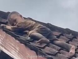 Bocah 2 Tahun di Lombok Tengah Selamat Usai Merayap di Atap Genteng