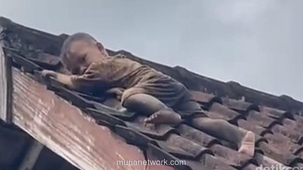Bocah 2 Tahun di Lombok Tengah Selamat Usai Merayap di Atap Genteng