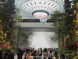 Bandara Changi Catat Rekor Penumpang Meski Penerbangan Timur Tengah Anjlok