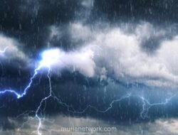 Hujan dan Angin Kencang di Bandung Tewaskan Satu Orang, 33 Pohon Tumbang