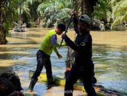 Petani Sawit Aceh Hadapi Kendala Akses Pascabanjir