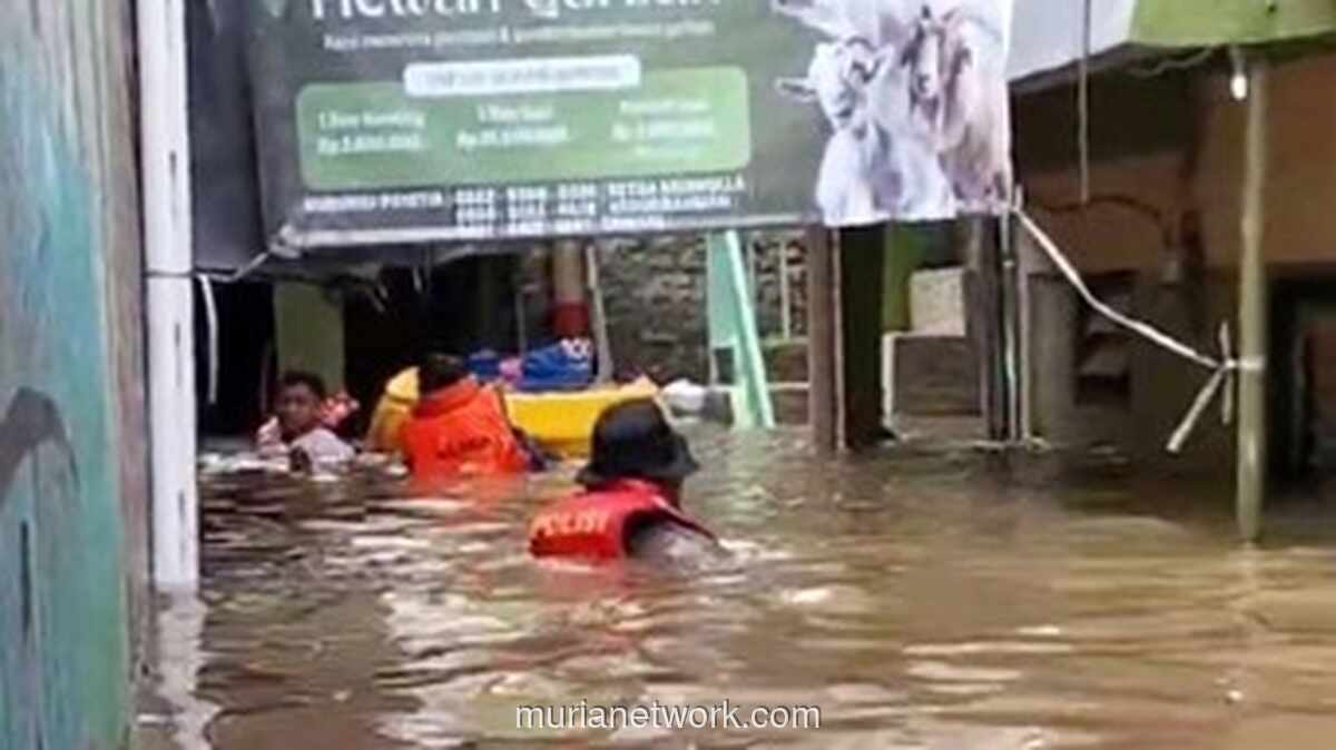 Banjir 1,75 Meter Rendam Permukiman Padat di Kebon Pala