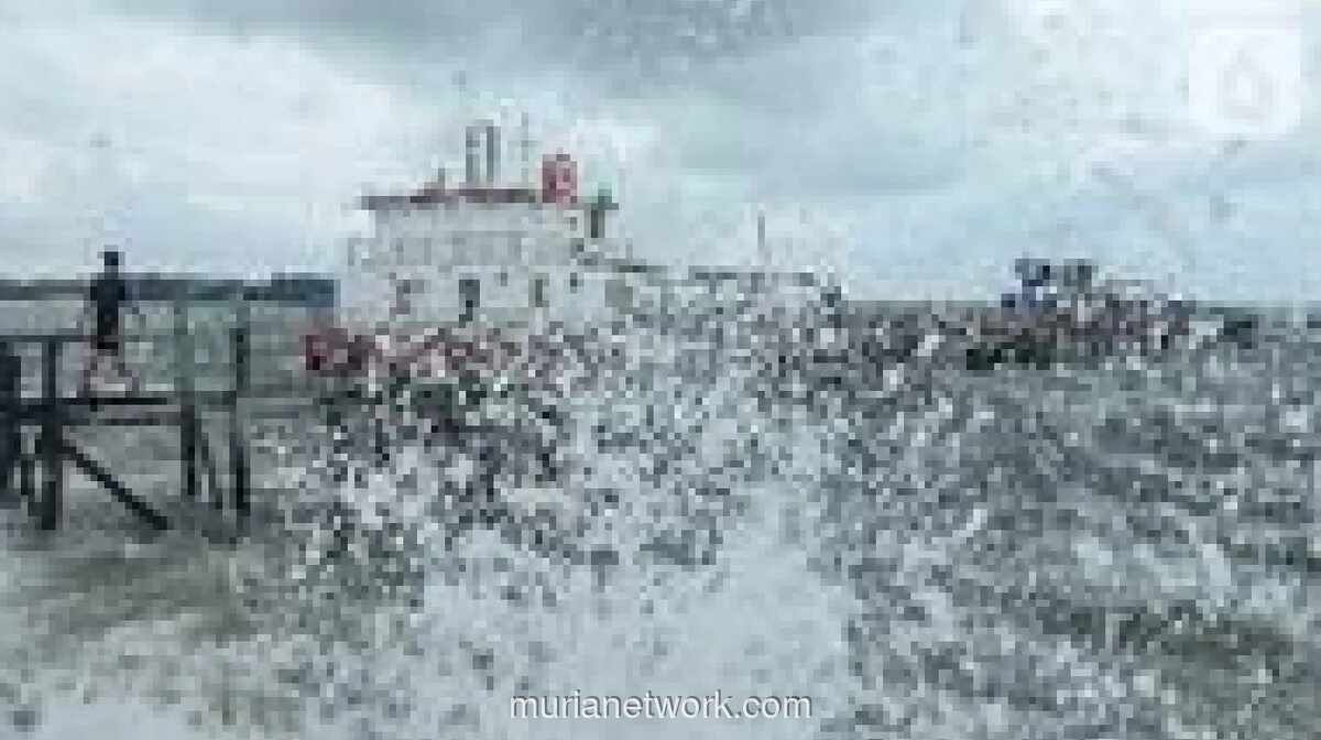 BPBD DKI Jakarta Waspadakan Potensi Banjir Rob di Pesisir Utara 5-9 April 2026