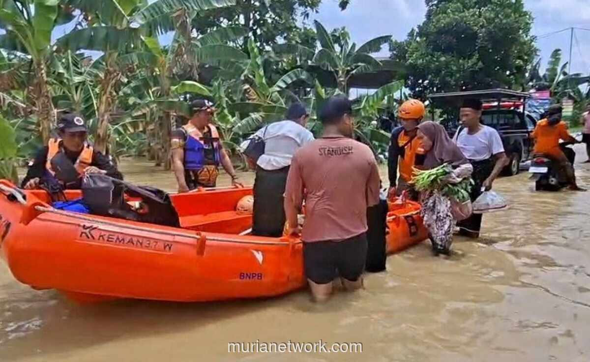 Tanggul Jebol di Demak, 4 Kecamatan Terendam dan 1 Warga Hilang