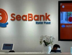 SeaBank Catat Laba Bersih Rp678,4 Miliar, Naik 79% Sepanjang 2025