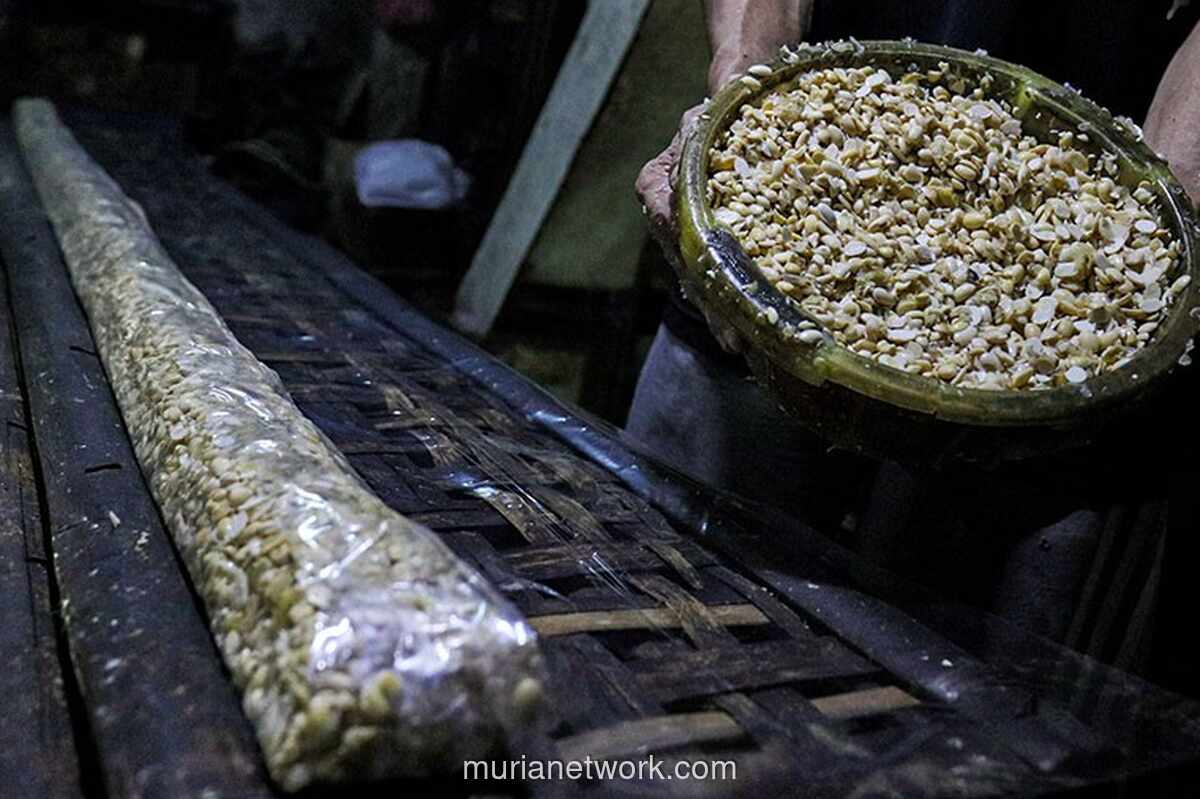 Bapanas Ancam Cabut Izin Distributor dan Importir Kedelai yang Langgar Harga Acuan