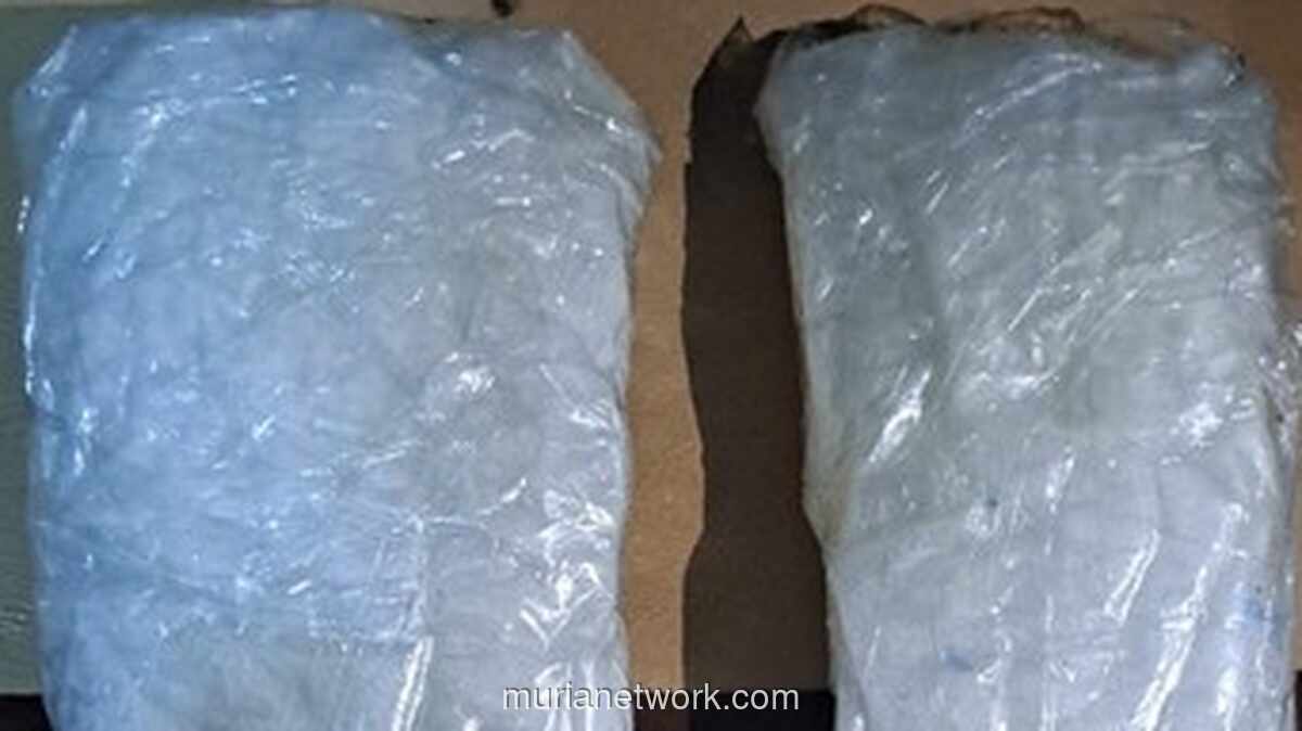 Bareskrim Gagalkan Penyelundupan 12 Kg Sabu Malaysia-Surabaya di Bakauheni