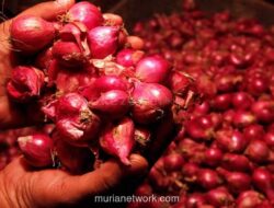 Bareskrim Sita Lebih dari 23 Ton Bawang dan Cabai Selundupan di Pontianak