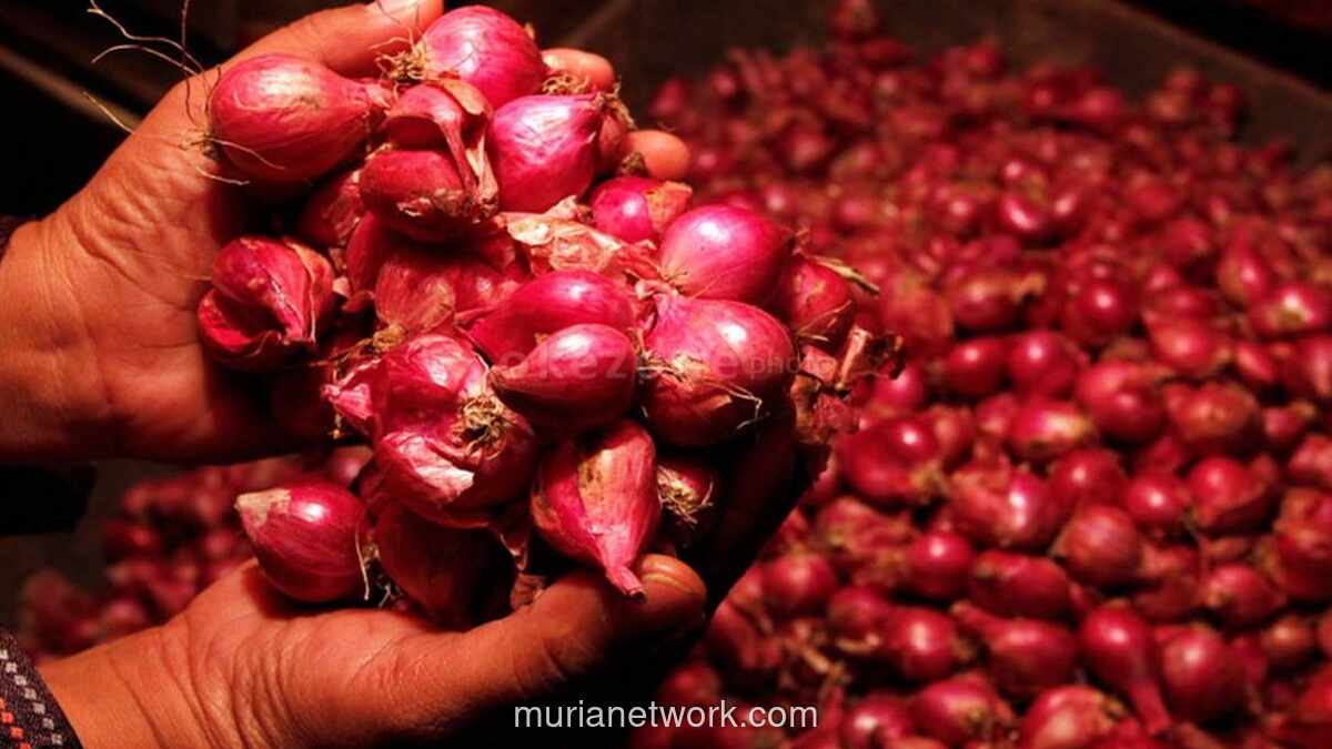 Bareskrim Sita Lebih dari 23 Ton Bawang dan Cabai Selundupan di Pontianak