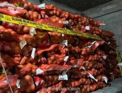 Polisi Sita Lebih dari 23 Ton Bawang dan Cabai Impor Ilegal di Pontianak