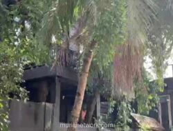 Menjelang Pernikahan El Rumi dan Syifa Hadju, Rumah Ahmad Dhani di Pondok Indah Sepi, Sang Musisi Istirahat Jaga Kondisi