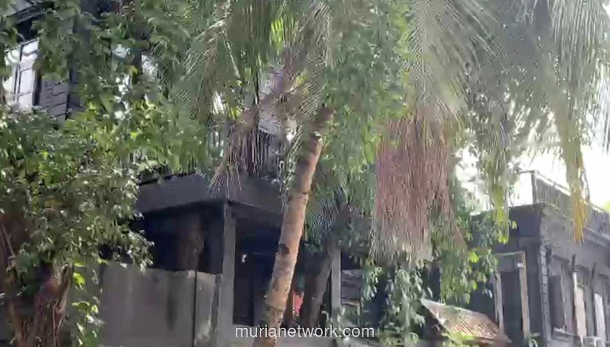 Menjelang Pernikahan El Rumi dan Syifa Hadju, Rumah Ahmad Dhani di Pondok Indah Sepi, Sang Musisi Istirahat Jaga Kondisi