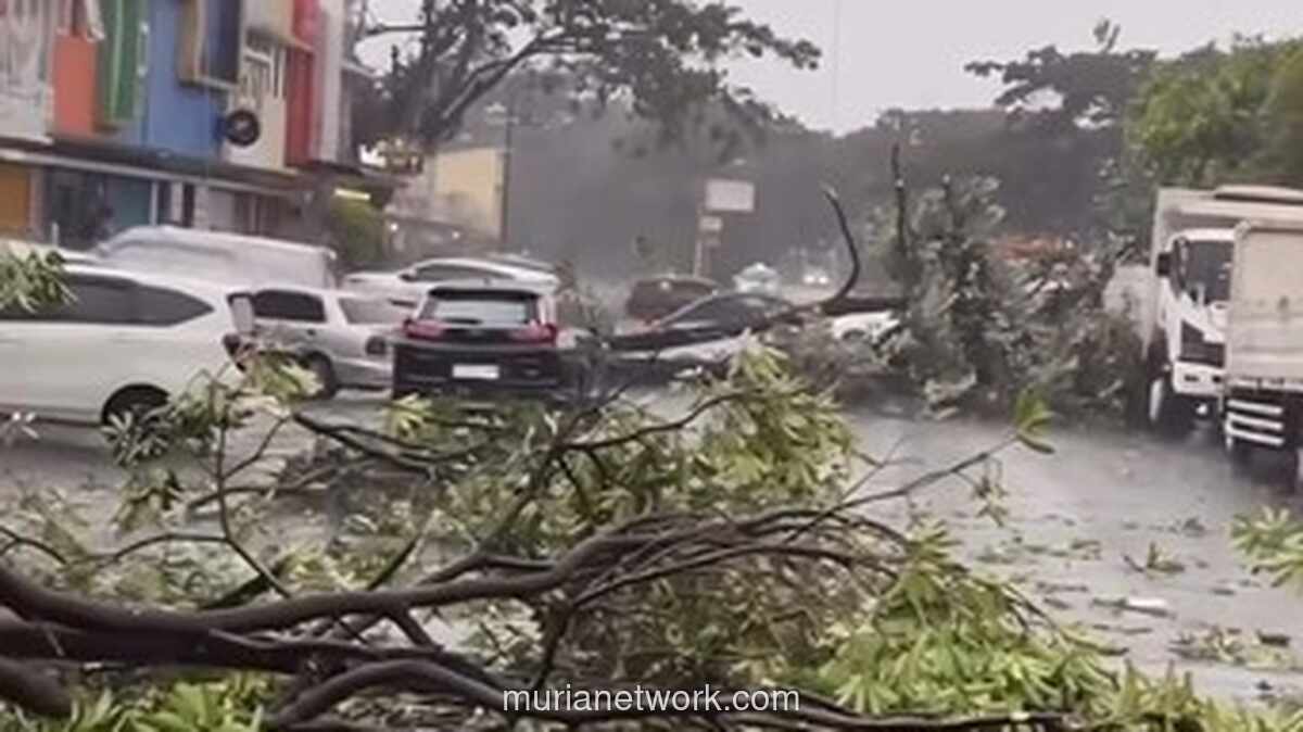 Cuaca Ekstrem dan Hujan Es Landa Bekasi, Sejumlah Pohon Tumbang Tutupi Jalan