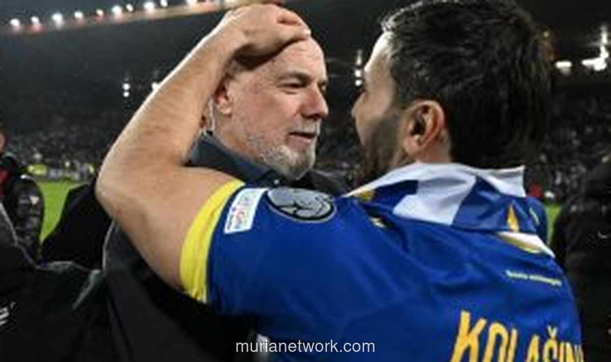 Barbarez Ungkap Kunci Bosnia Lolos ke Piala Dunia Usai Singkirkan Italia