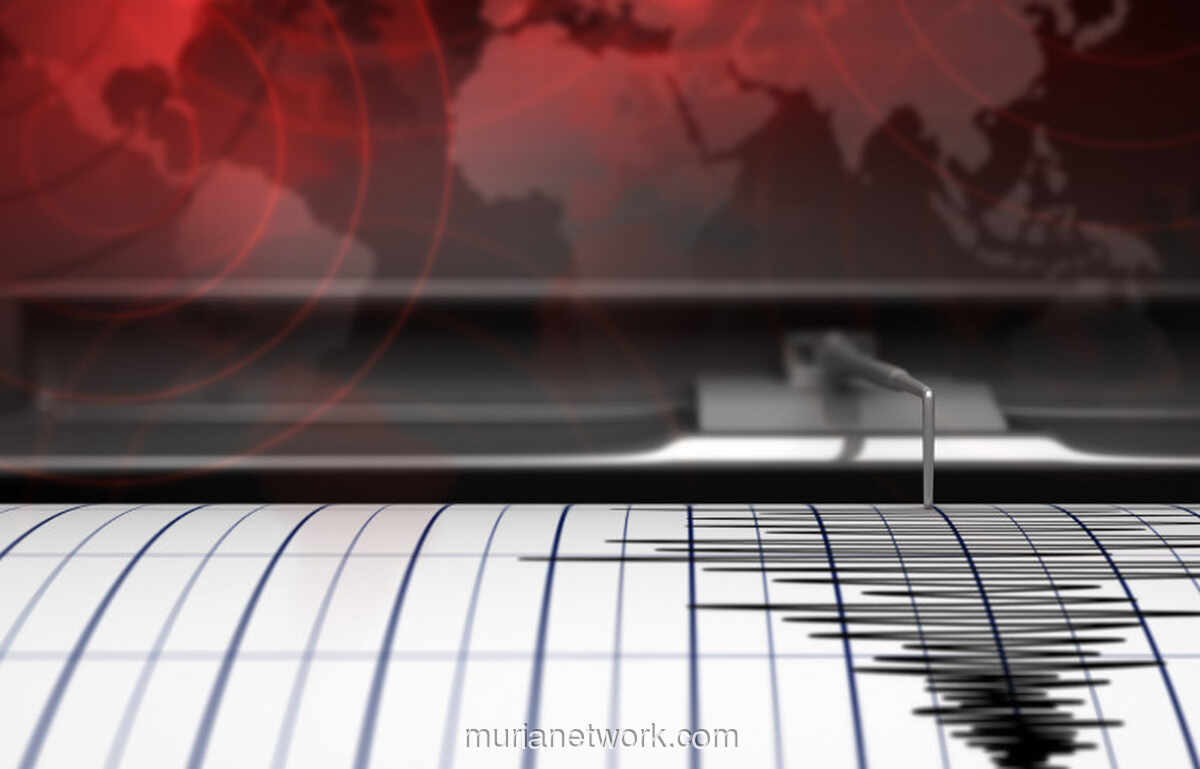 BMKG Catat 422 Gempa Susulan Usai Guncangan M5,4 di Bitung