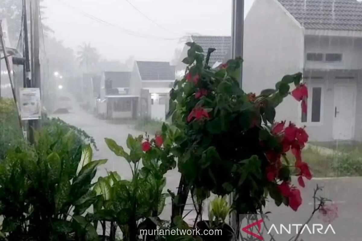 BMKG Cilacap Peringatkan Potensi Hujan Lebat Disertai Petir dan Angin Kencang