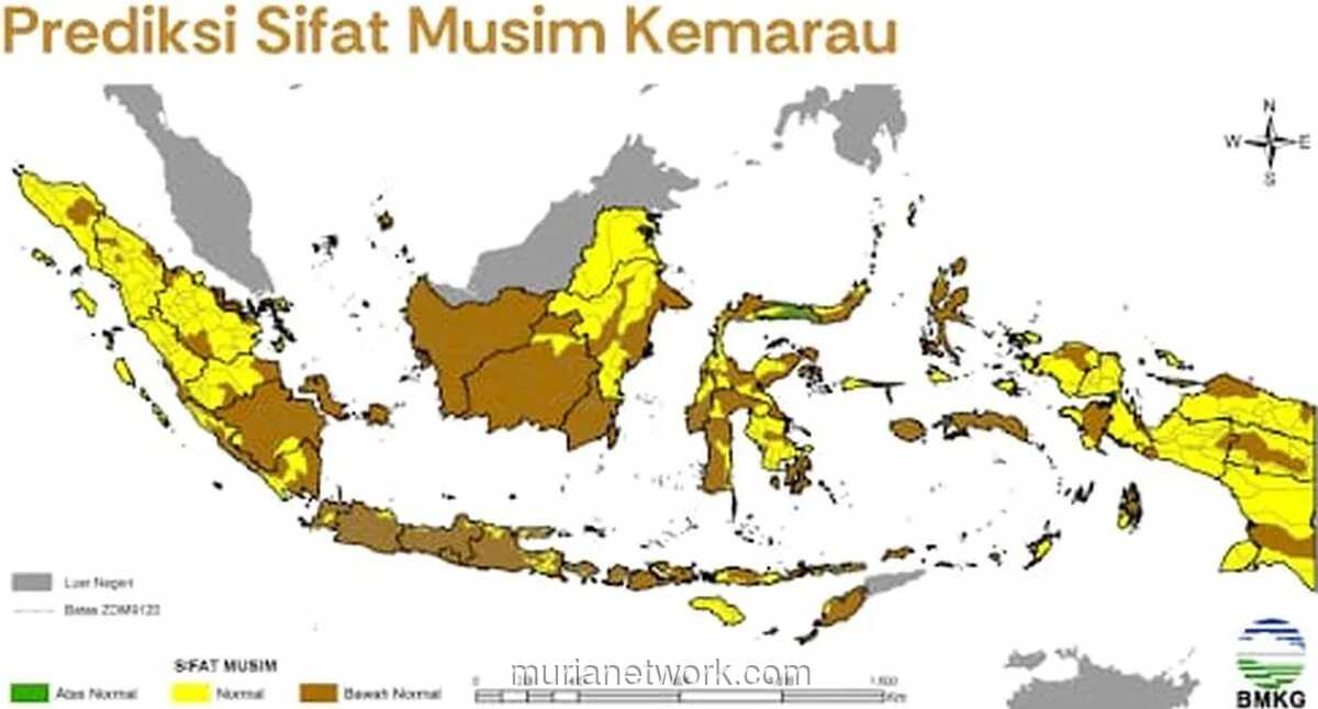 BMKG Prediksi Musim Kemarau 2026 Lebih Kering dan Panjang