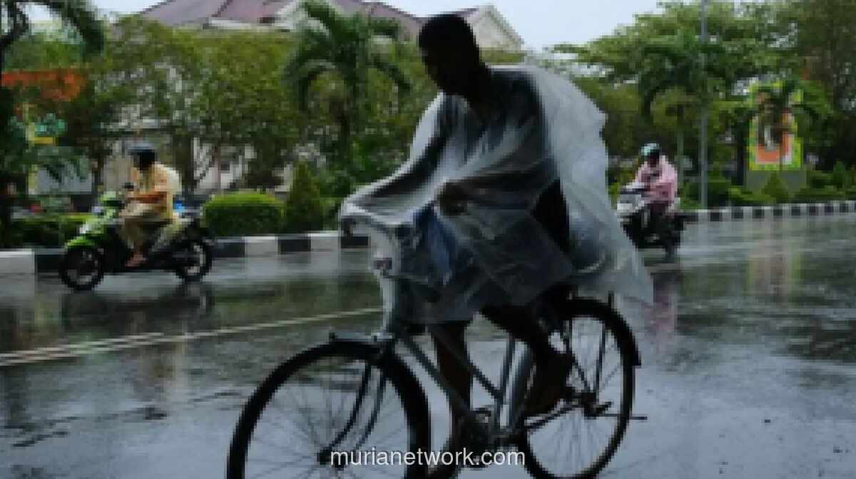 BMKG: Hujan Ringan Guyur Banyak Wilayah, Waspada Potensi Hujan Petir di Bandung dan Lampung