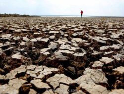 BMKG Proyeksikan Musim Kemarau 2026 Lebih Awal dan Panjang
