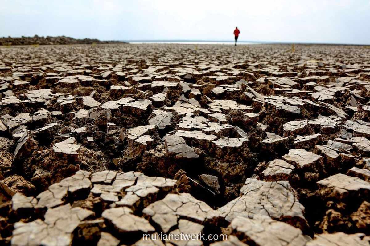 BMKG Proyeksikan Musim Kemarau 2026 Lebih Awal dan Panjang